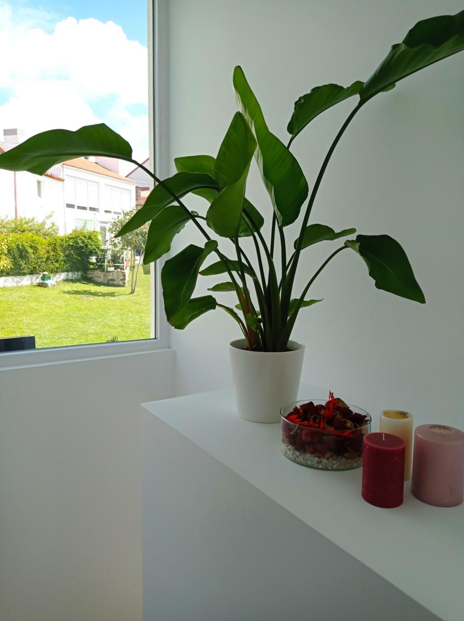 Casas Turisticas Lar Jardin - Parking Privado 산티아고데콤포스텔라 외부 사진