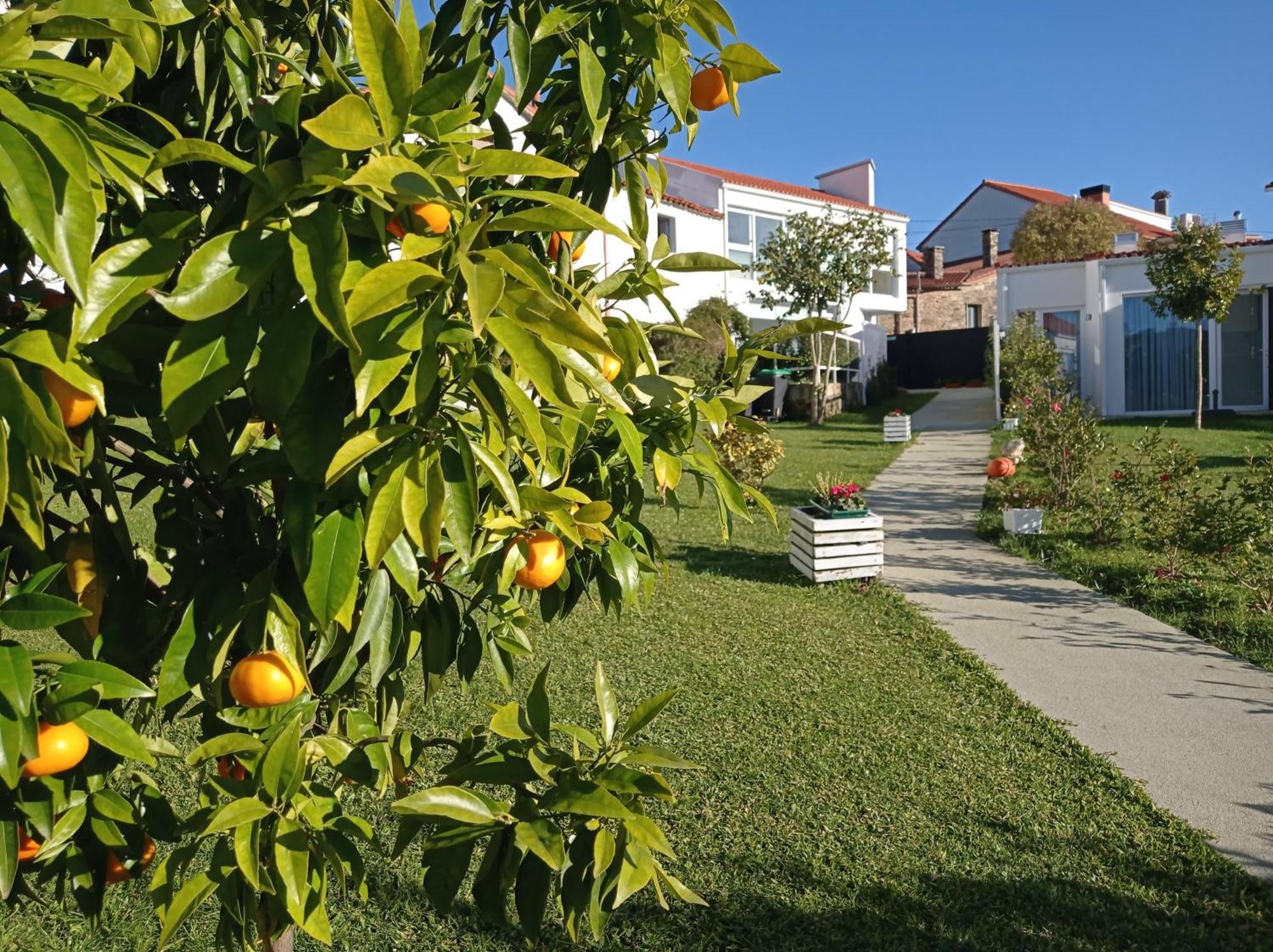 Casas Turisticas Lar Jardin - Parking Privado 산티아고데콤포스텔라 외부 사진